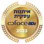 100 איתנות